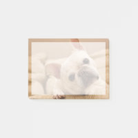 Animaux de bébés cutest | French Bulldog Head Tilt