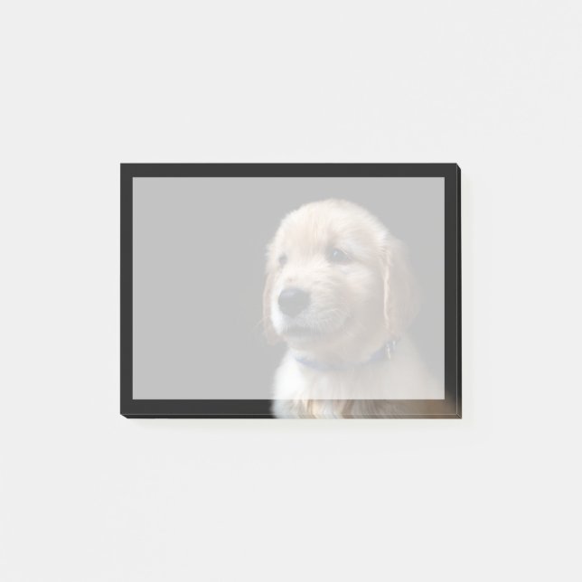 Post-it® Animaux de bébés cutest | Golden Retriever Puppy (Devant)