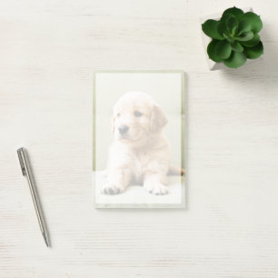 Post-it® Animaux de bébés cutest Golden Retriever Puppy