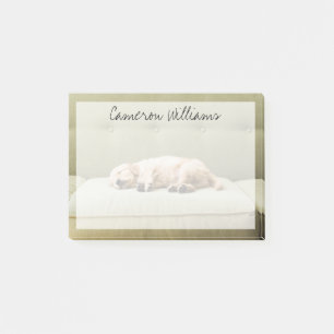 Post-it® Animaux de bébés cutest   Golden Retriever Puppy 2