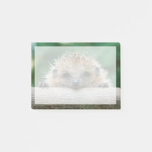 Post-it® Animaux de bébés cutest   Hedgehog Smile