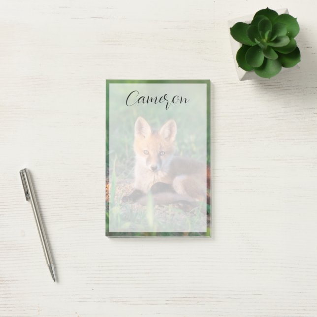 Post-it® Animaux de bébés cutest | Kit Red Fox Relaxant (Bureau)