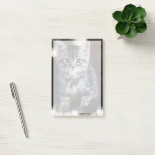 Post-it® Animaux de bébés cutest   Kitten sur Touches de pi