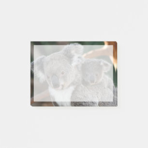 Post-it® Animaux de bébés cutest   Koala et Joey