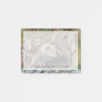 Animaux de bébés cutest | Kodiak Mama Bear & Cubs