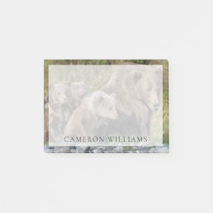 Post-it® Animaux de bébés cutest Kodiak Mama Bear & Cubs