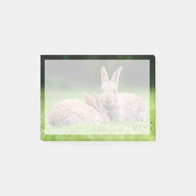 Post-it® Animaux de bébés cutest | Lapins de lapin sauvage (Devant)