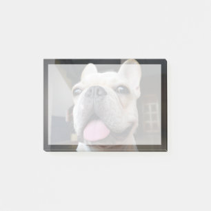 Post-it® Animaux de bébés cutest Le visage de Bulldog
