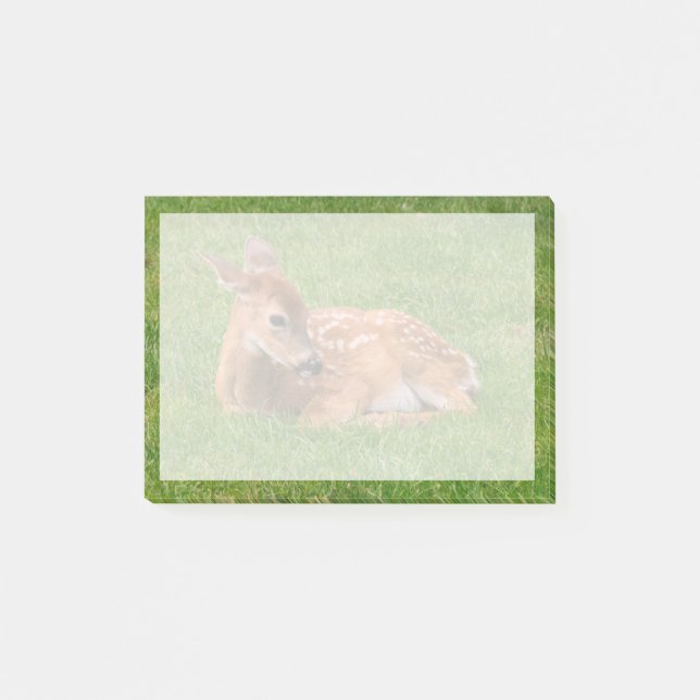 Post-it® Animaux de bébés cutest | Little Fawn (Devant)