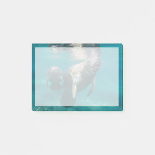 Post-it® Animaux de bébés cutest Manat & bébé