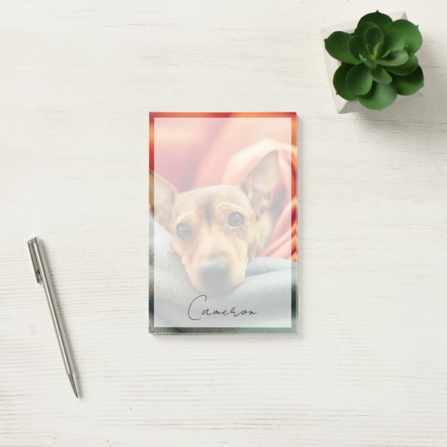 Post-it® Animaux de bébés cutest | Miniature Pinscher (Bureau)
