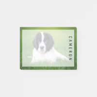 Animaux de bébés cutest | Newfoundland Puppy