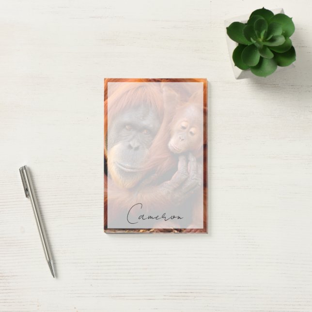 Post-it® Animaux de bébés cutest | Orangutan Maman & Baby (Bureau)