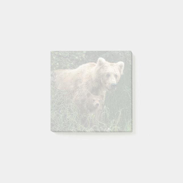 Post-it® Animaux de bébés cutest | Ours Mama Ours et ses pe (Devant)