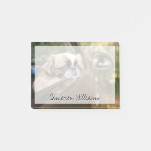 Post-it® Animaux de bébés cutest Pekingese Chiot en voitu
