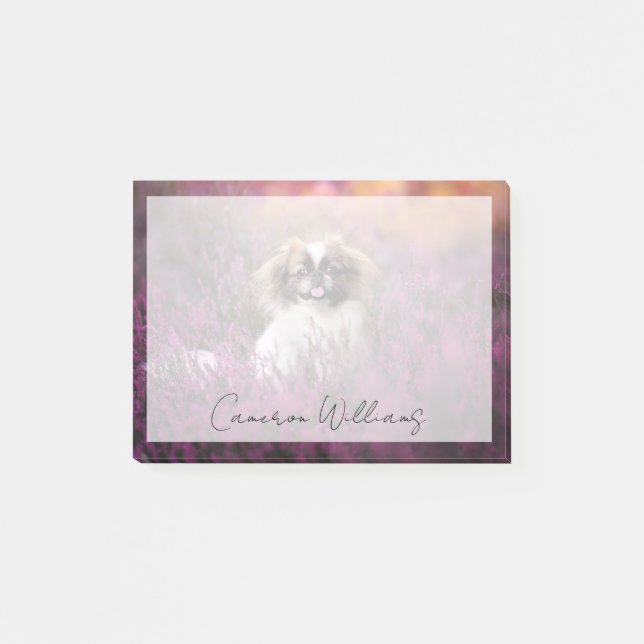 Post-it® Animaux de bébés cutest | Pekingese Puppy (Devant)