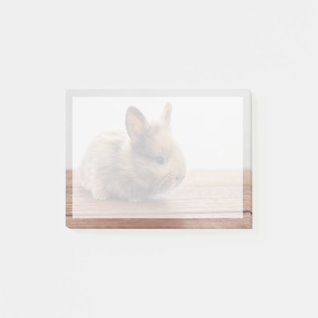 Post-it® Animaux de bébés cutest | Petit lapin bébé (Devant)