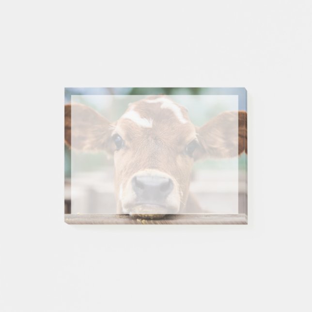 Post-it® Animaux de bébés cutest | Petite vache (Devant)