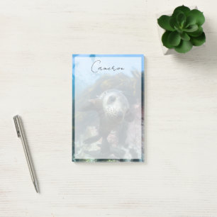 Post-it® Animaux de bébés cutest   Phoque sous-marin Cape F