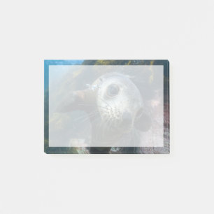 Post-it® Animaux de bébés cutest   Phoque sous-marin Cape F