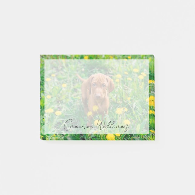 Post-it® Animaux de bébés cutest | Pointeur (Devant)