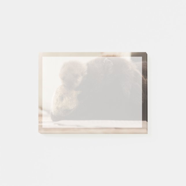 Post-it® Animaux de bébés cutest | Pompe Otter nouveau-né (Devant)