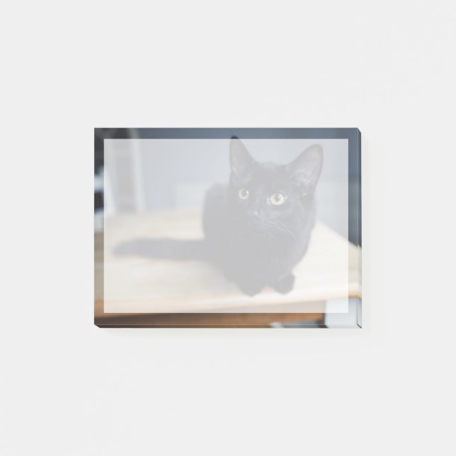 Post-it® Animaux de bébés cutest | Portrait d'un chat noir (Devant)