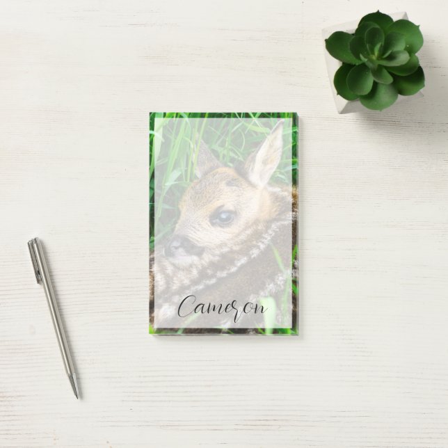 Post-it® Animaux de bébés cutest | Roe Deer Baby (Bureau)