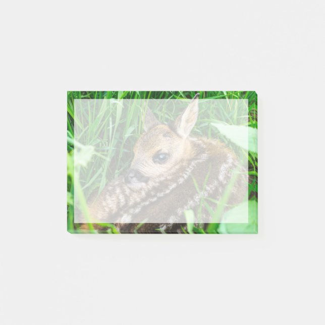 Post-it® Animaux de bébés cutest | Roe Deer Baby (Devant)