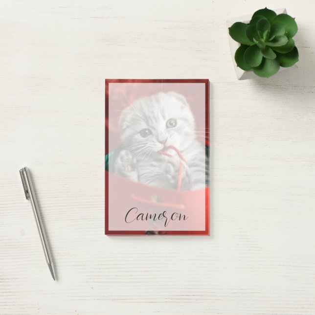 Post-it® Animaux de bébés cutest | Scottish Fold Kitten (Bureau)