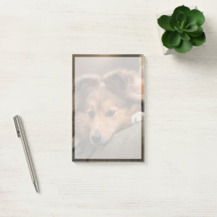 Post-it® Animaux de bébés cutest Shetland Sheepdog Puppy