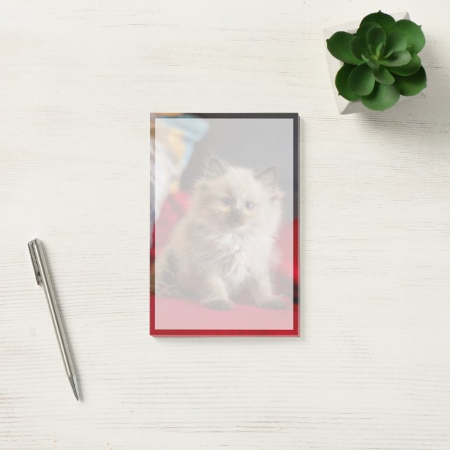 Post-it® Animaux de bébés cutest | Siamese Kitten (Bureau)