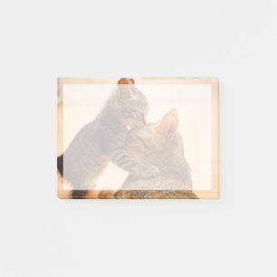 Post-it® Animaux de bébés cutest   Tabby Kitten Kiss