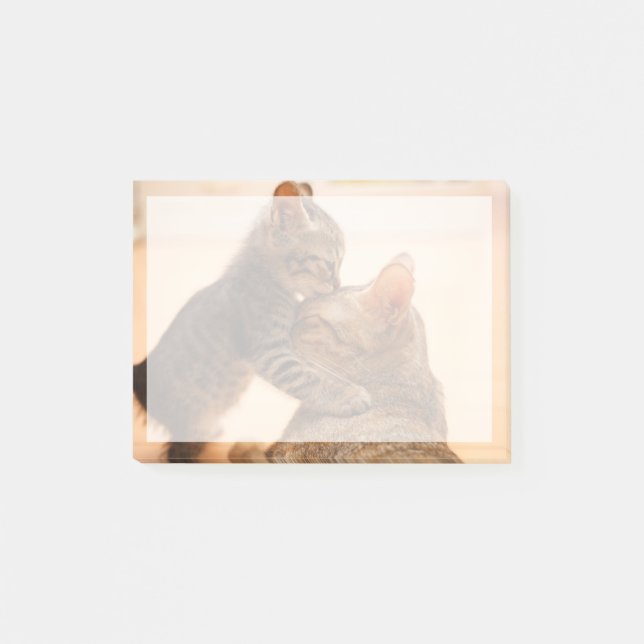 Post-it® Animaux de bébés cutest | Tabby Kitten Kiss (Devant)