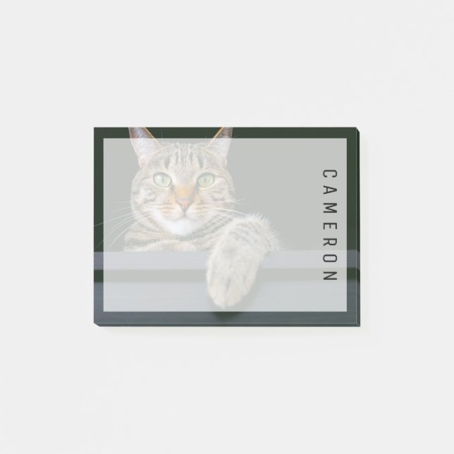 Post-it® Animaux de bébés cutest | Tête de chat gris Tabby (Devant)