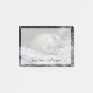 Post-it® Animaux de bébés cutest   Tiny Kitten Dormir