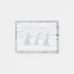 Post-it® Animaux de bébés cutest Trois Épouses Penguin Em