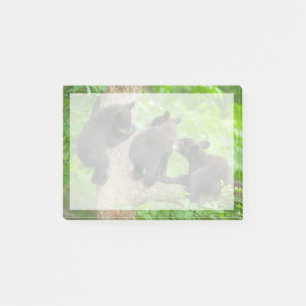 Post-it® Animaux de bébés cutest Trois jeunes petits ours