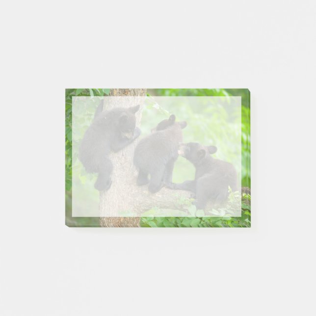 Post-it® Animaux de bébés cutest | Trois jeunes petits ours (Devant)