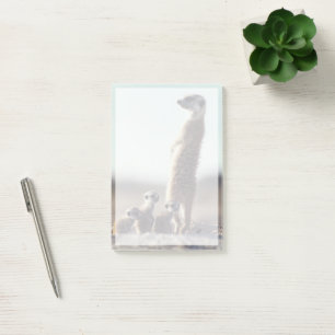 Post-it® Animaux de bébés cutest Une famille de Meerkats