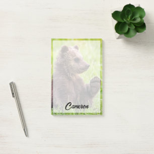 Post-it® Animaux de bébés cutest   Vague d'ours Brown