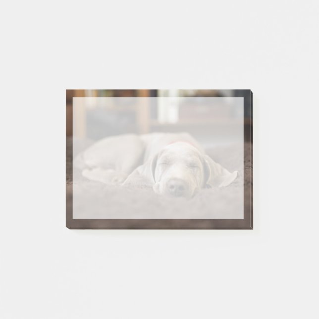 Post-it® Animaux de bébés cutest | Weimaraner Puppy Sleepin (Devant)