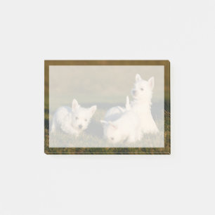 Post-it® Animaux de bébés cutest   West Highland White Terr