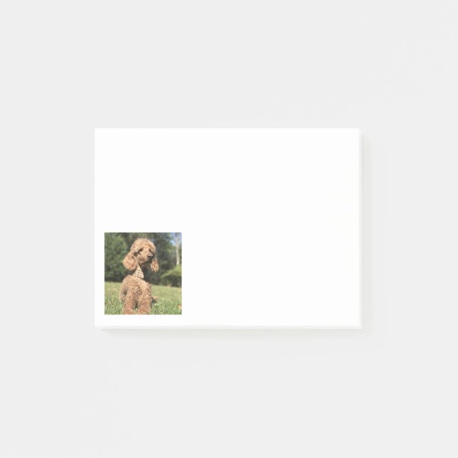 Post-it® Apricot Poodle personnalisable (Devant)