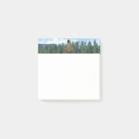 Arbres Gold Thor Marmer Plaques blanches