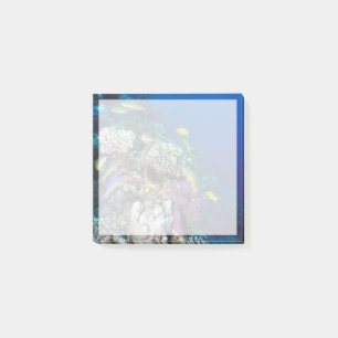 Post-it® Around Small Coral