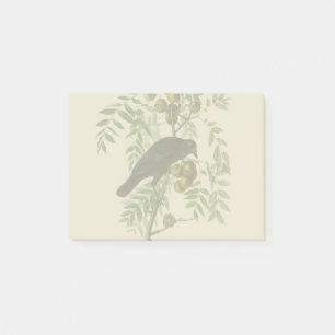 Post-it® Audubon American Crow Black Bird