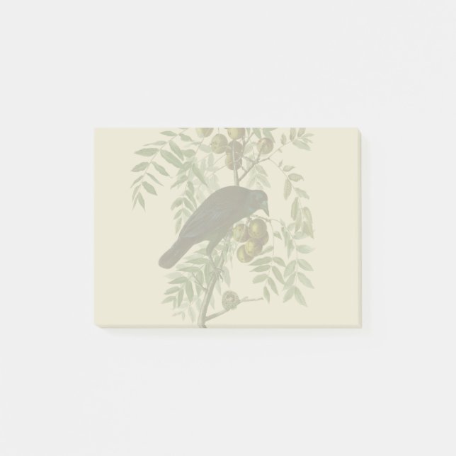Post-it® Audubon American Crow Black Bird (Devant)