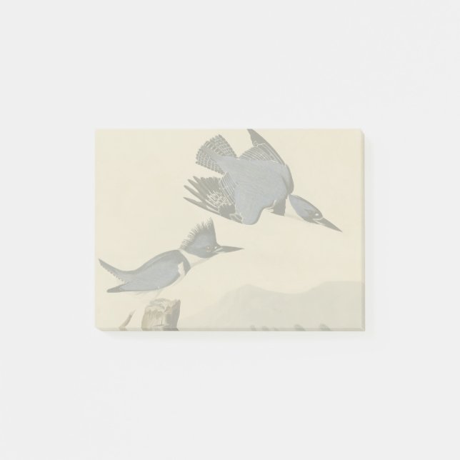 Post-it® Audubon Belted Kingfisher Wildlife Bird (Devant)
