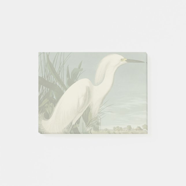 Post-it® Audubon Héron de neige Oiseaux d'aigrettes blanche (Devant)